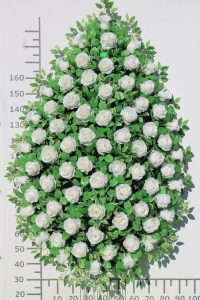 Венок ритуальный «VIP 3»